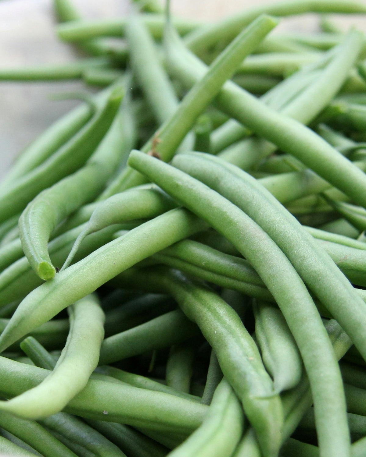 Biodegradable Vegetable Seed Starter Set