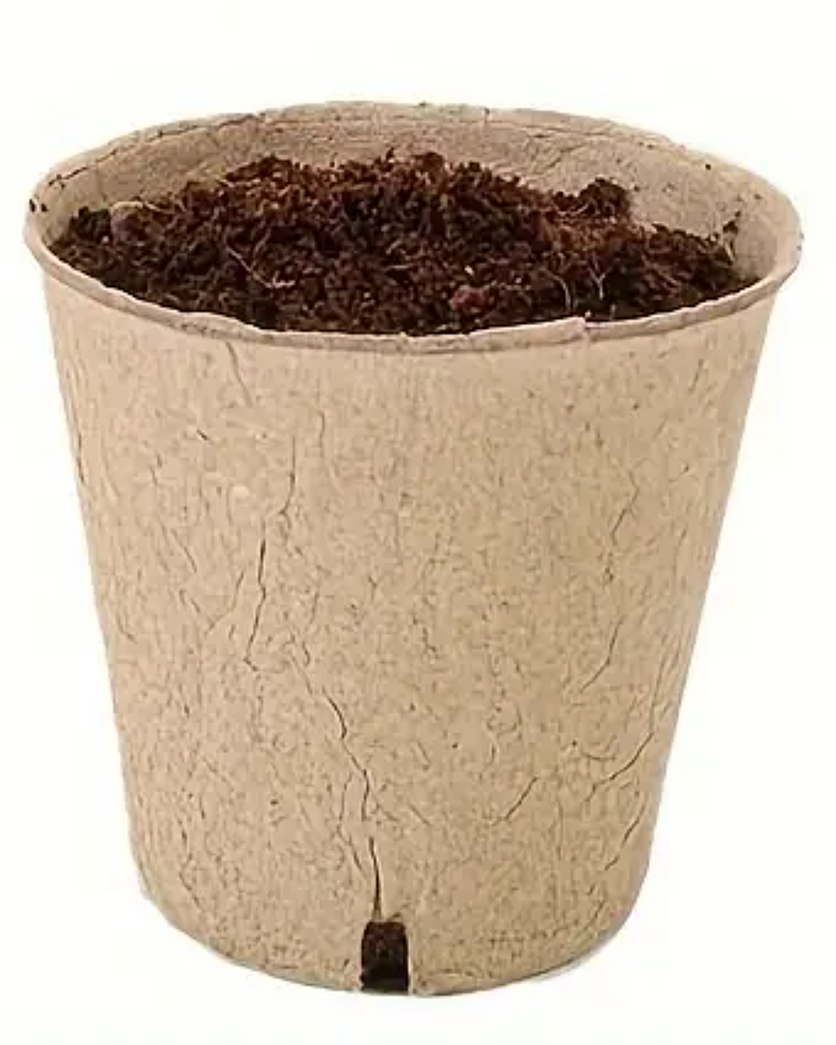 Biodegradale Nursery Pots