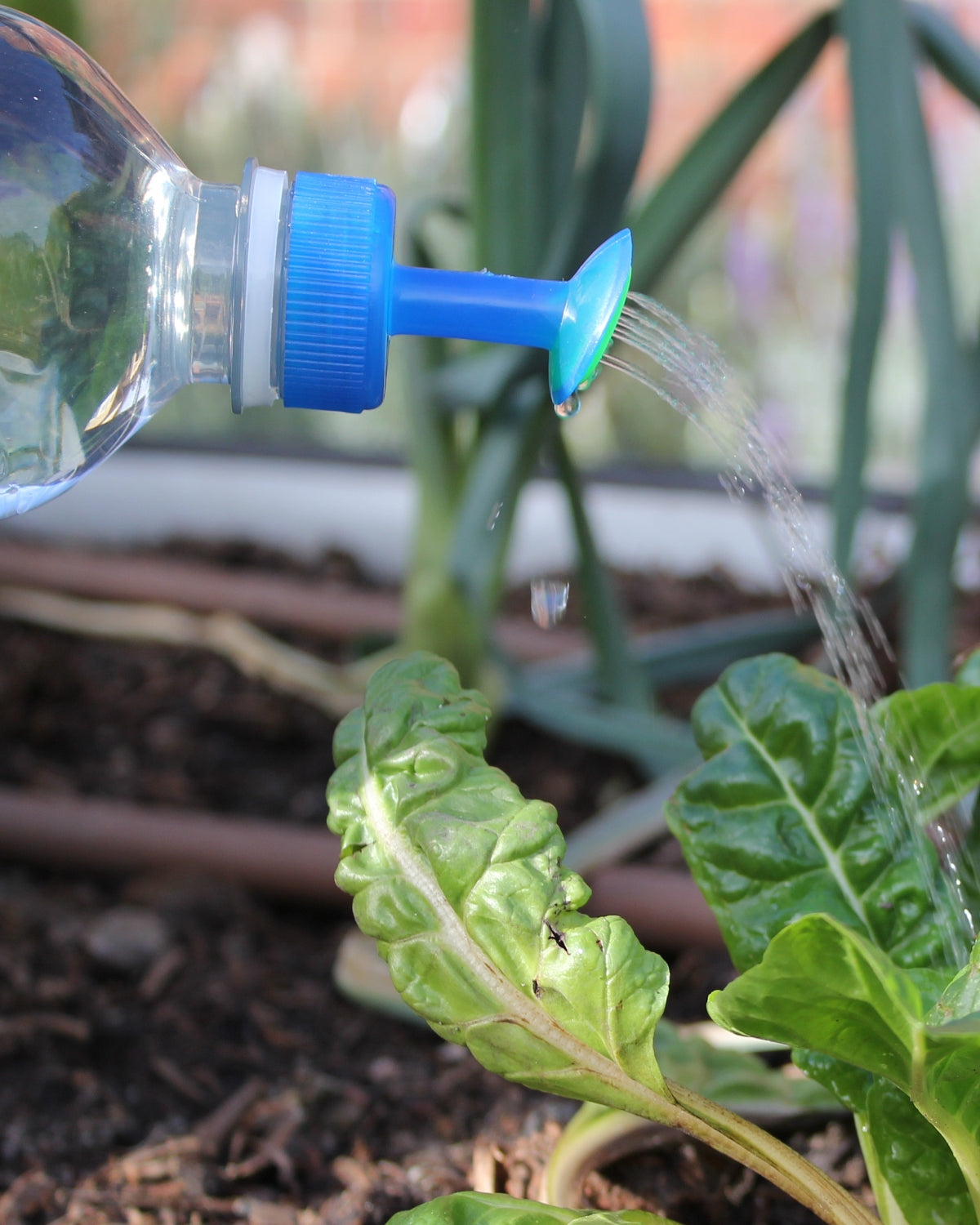 Bottle Top Sprinkler (pack of 3)