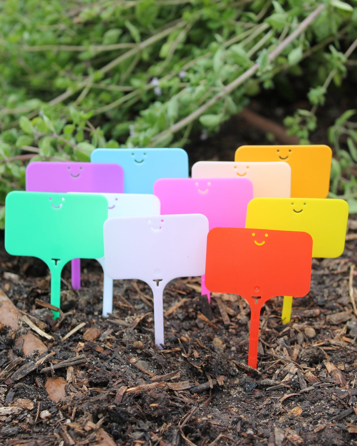 Reusable Plant Label - T-Type