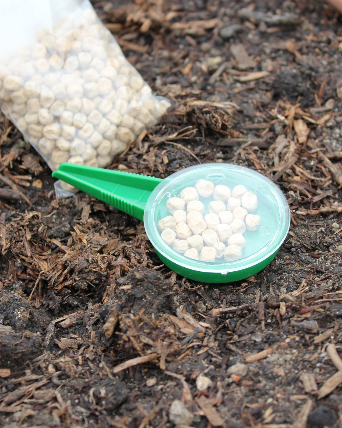 Biodegradable Vegetable Seed Starter Set