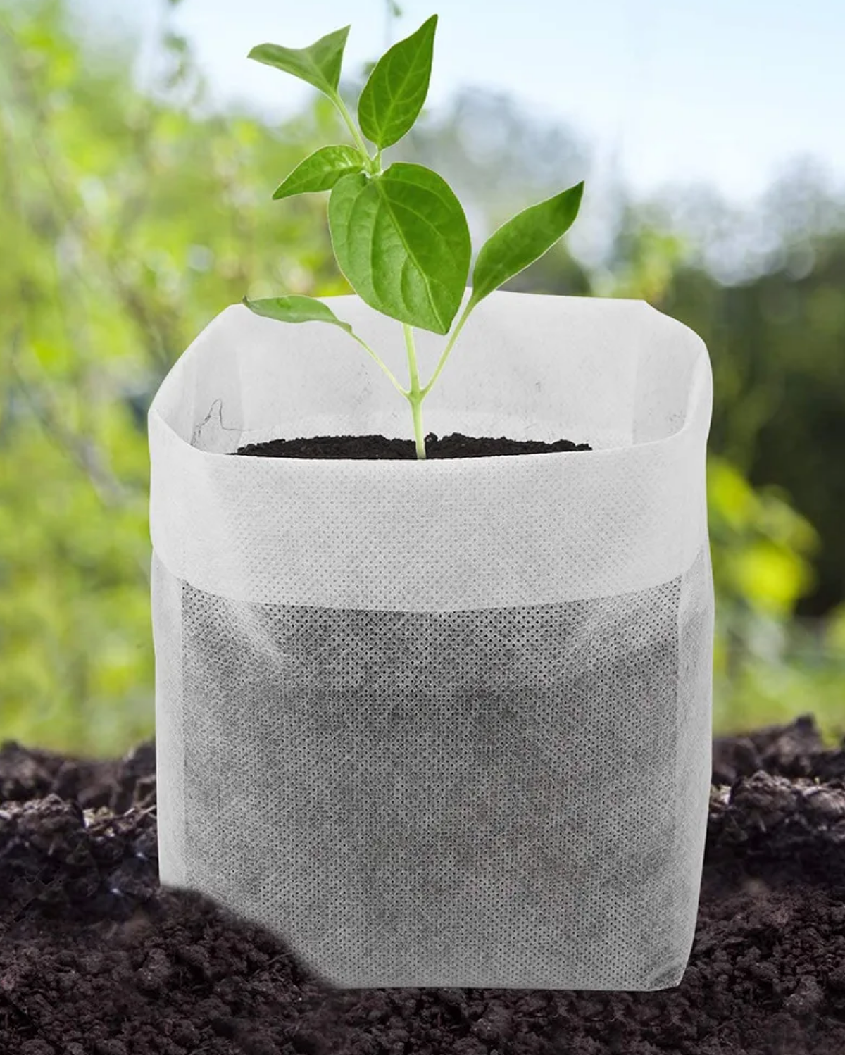 Biodegradable Grow Bags