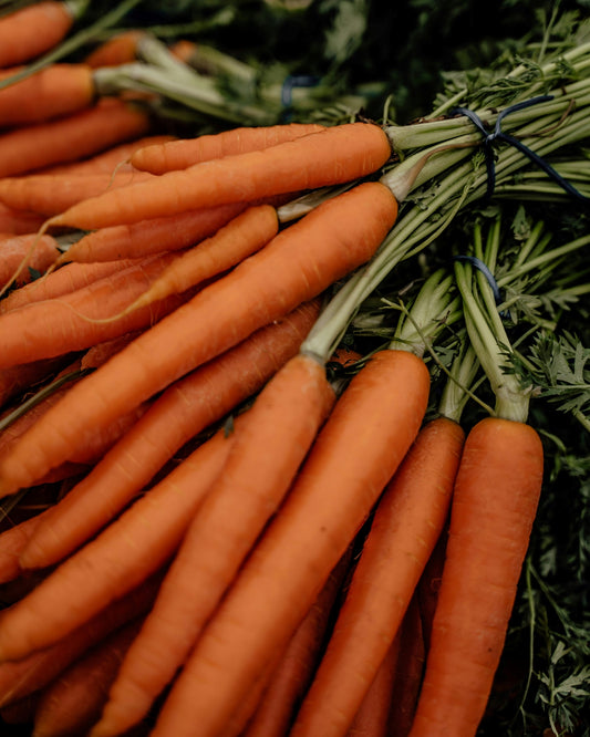 Carrot Seeds (All Seasons)