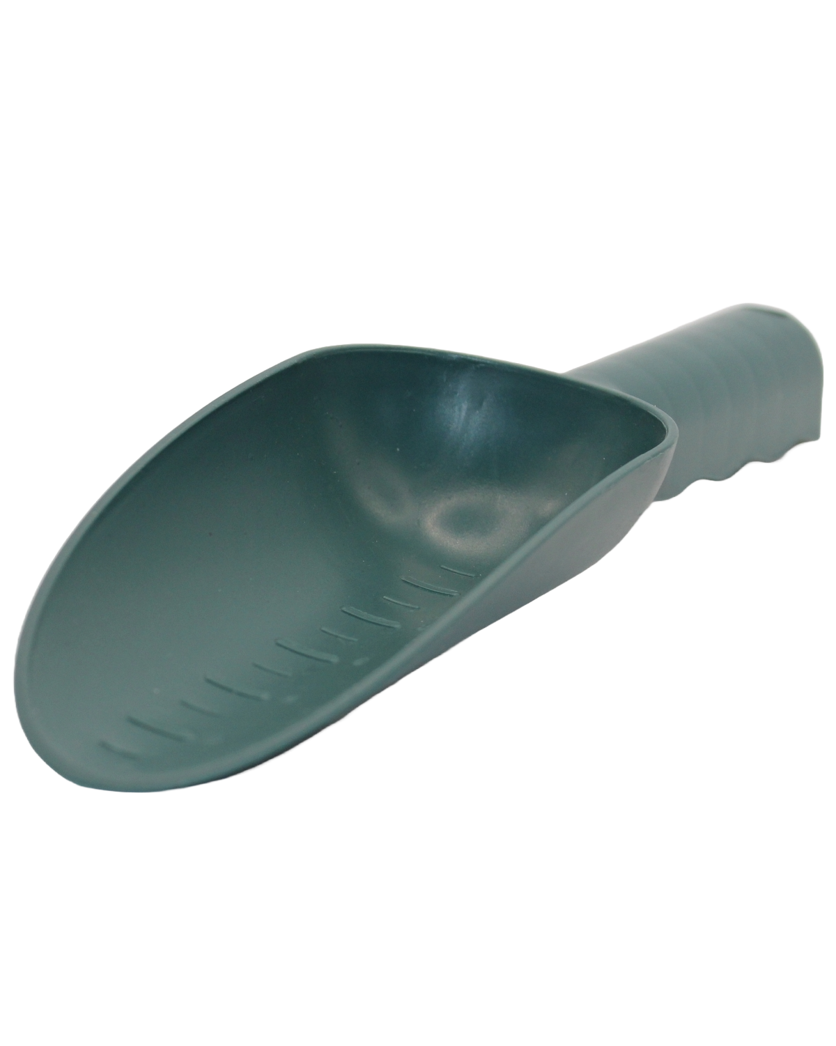 Biodegradable Vegetable Seed Starter Set
