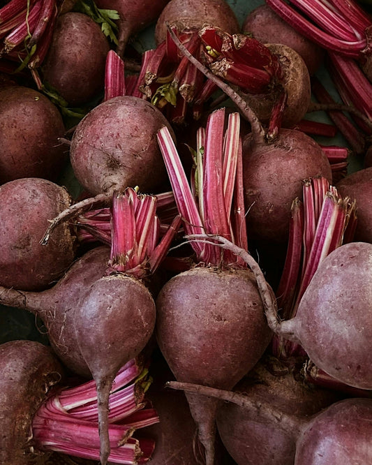 Beetroot Seeds (Detroit Dark Red)