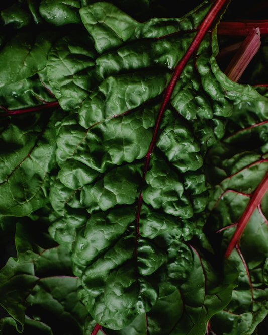 Swiss Chard Seeds (Ruby Red)